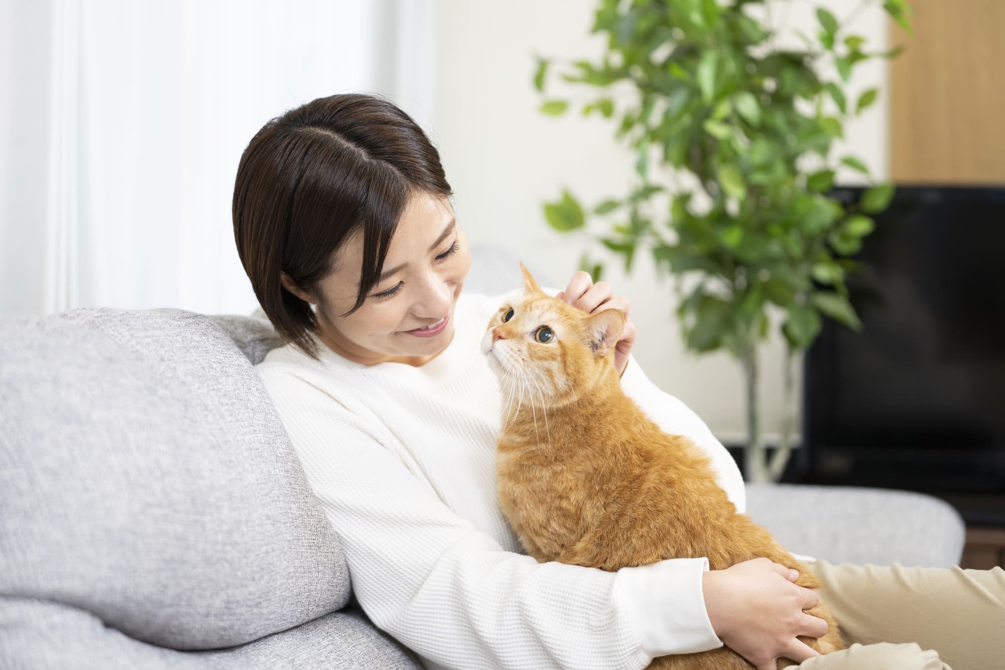 ペット相談可の賃貸物件