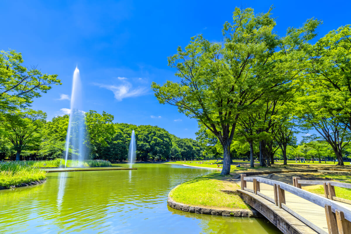 都心有数のオアシス「代々木公園」