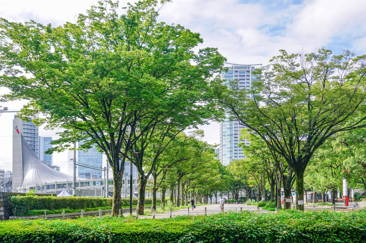 徒歩圏内で「代々木公園」の豊かな自然を満喫できる