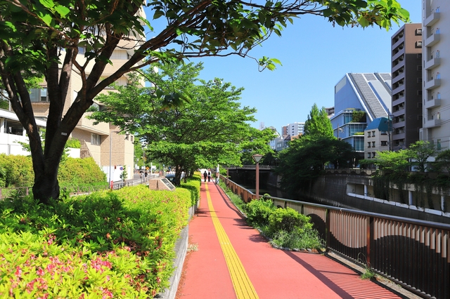 都心近接でありながら、穏やかな住環境が広がる街