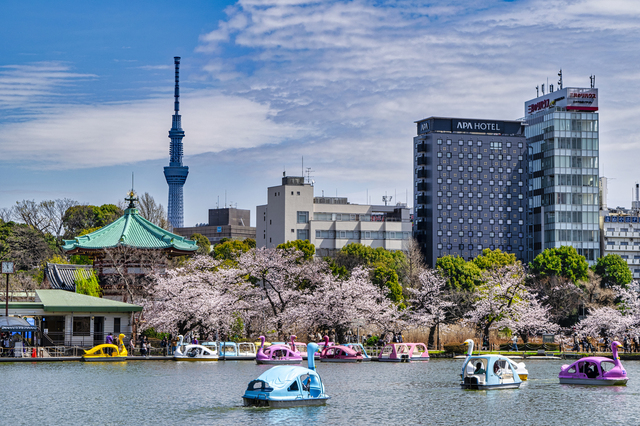 都心への利便性と落ち着いた住環境を両立できる街