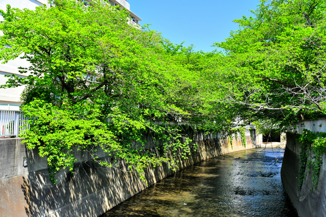駅前の活気と落ち着いた住宅街を使い分けられる