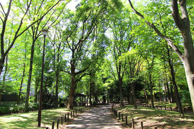 芝生やスポーツ施設が身近な「戸山公園」