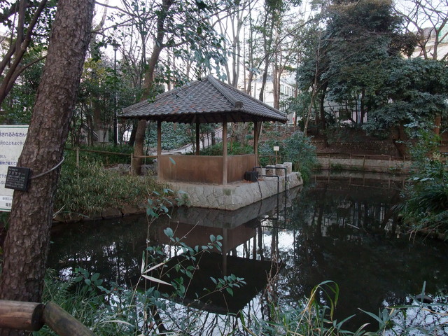 湧水と樹林に癒やされる「おとめ山公園」